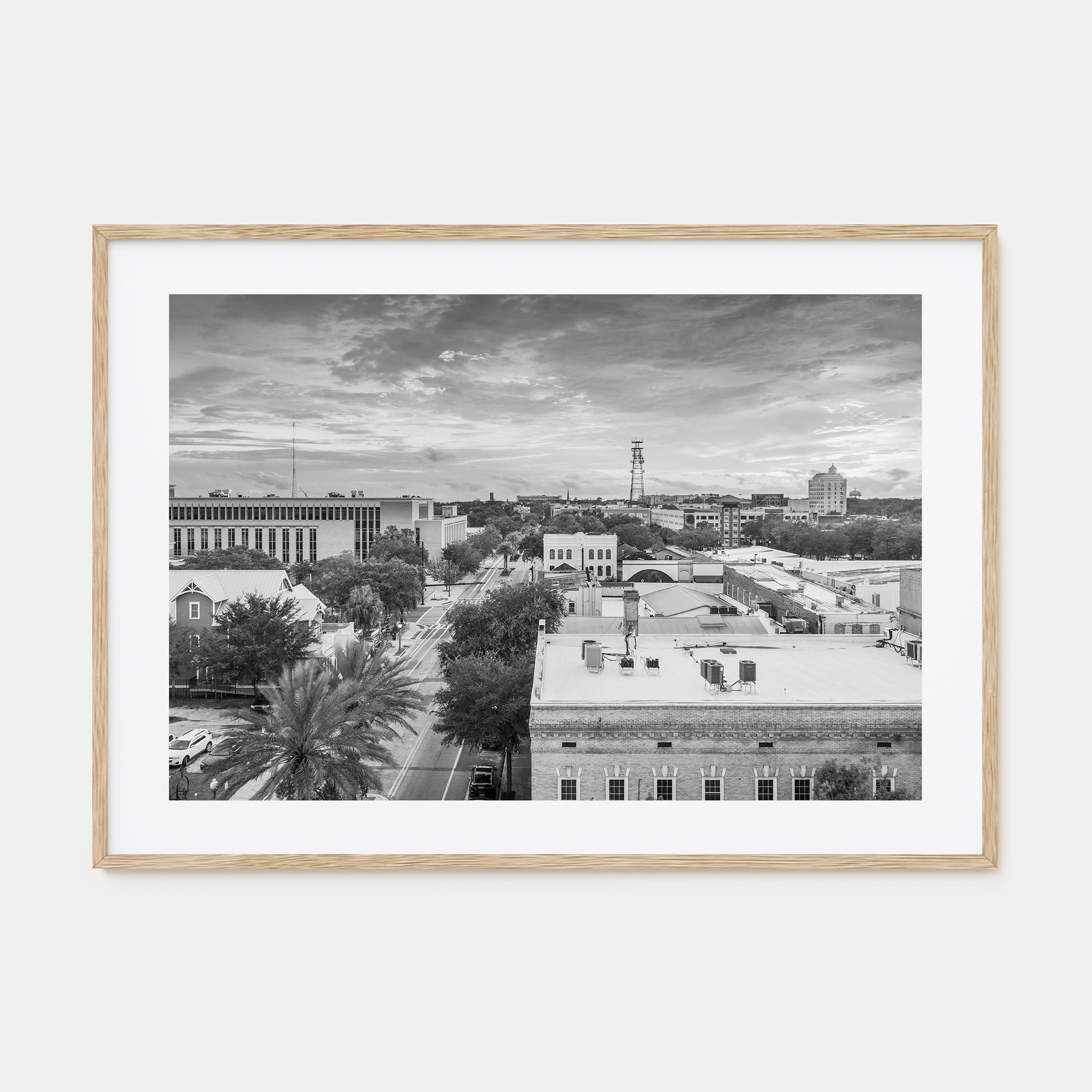 Gainesville Landscape B&W Poster