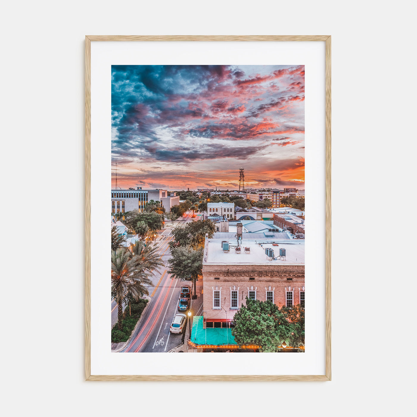 Gainesville Photo Color No 1 Poster