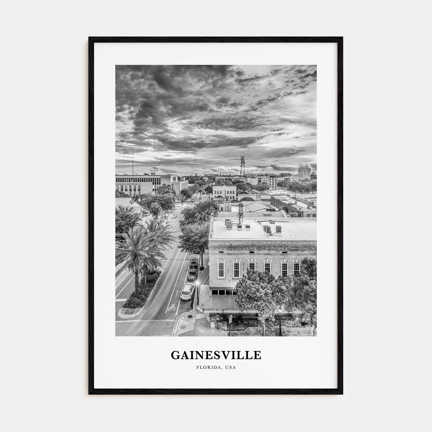 Gainesville Portrait B&W Poster