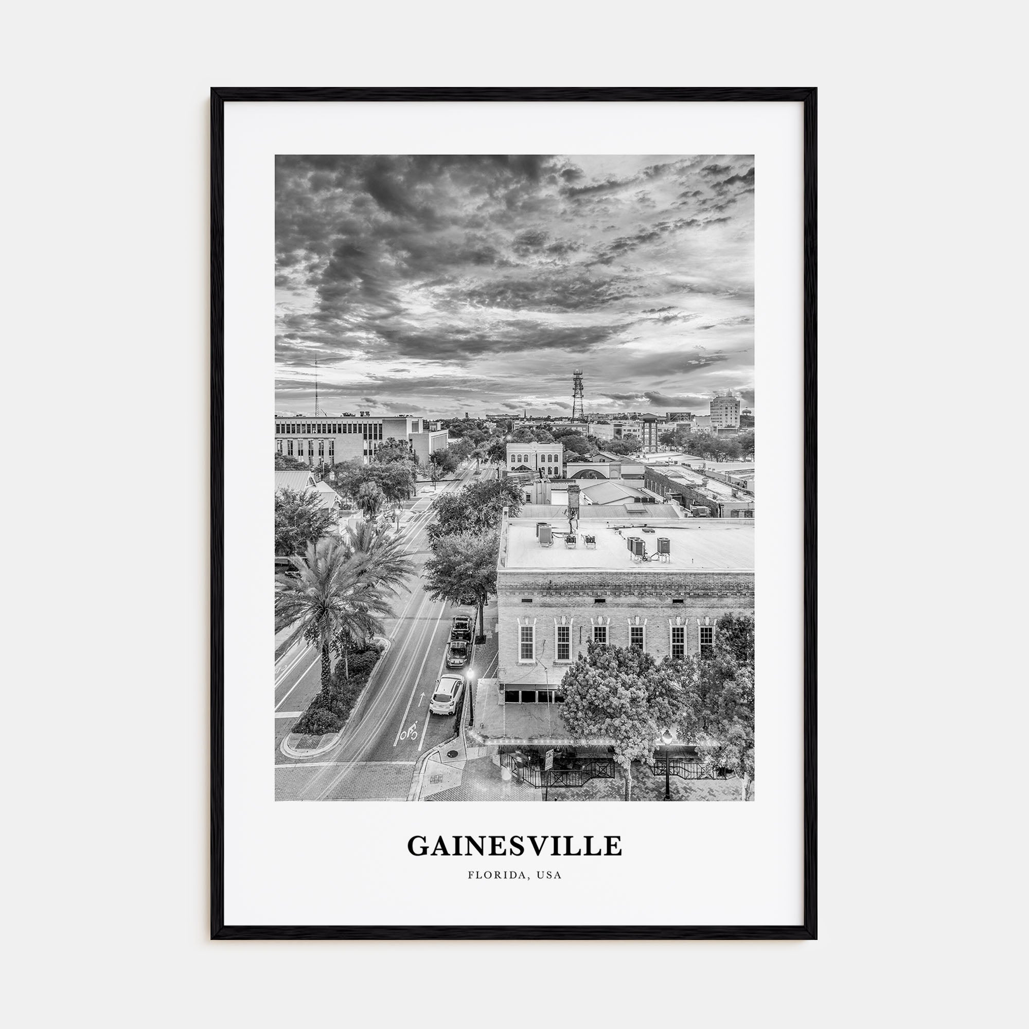 Gainesville Portrait B&W Poster