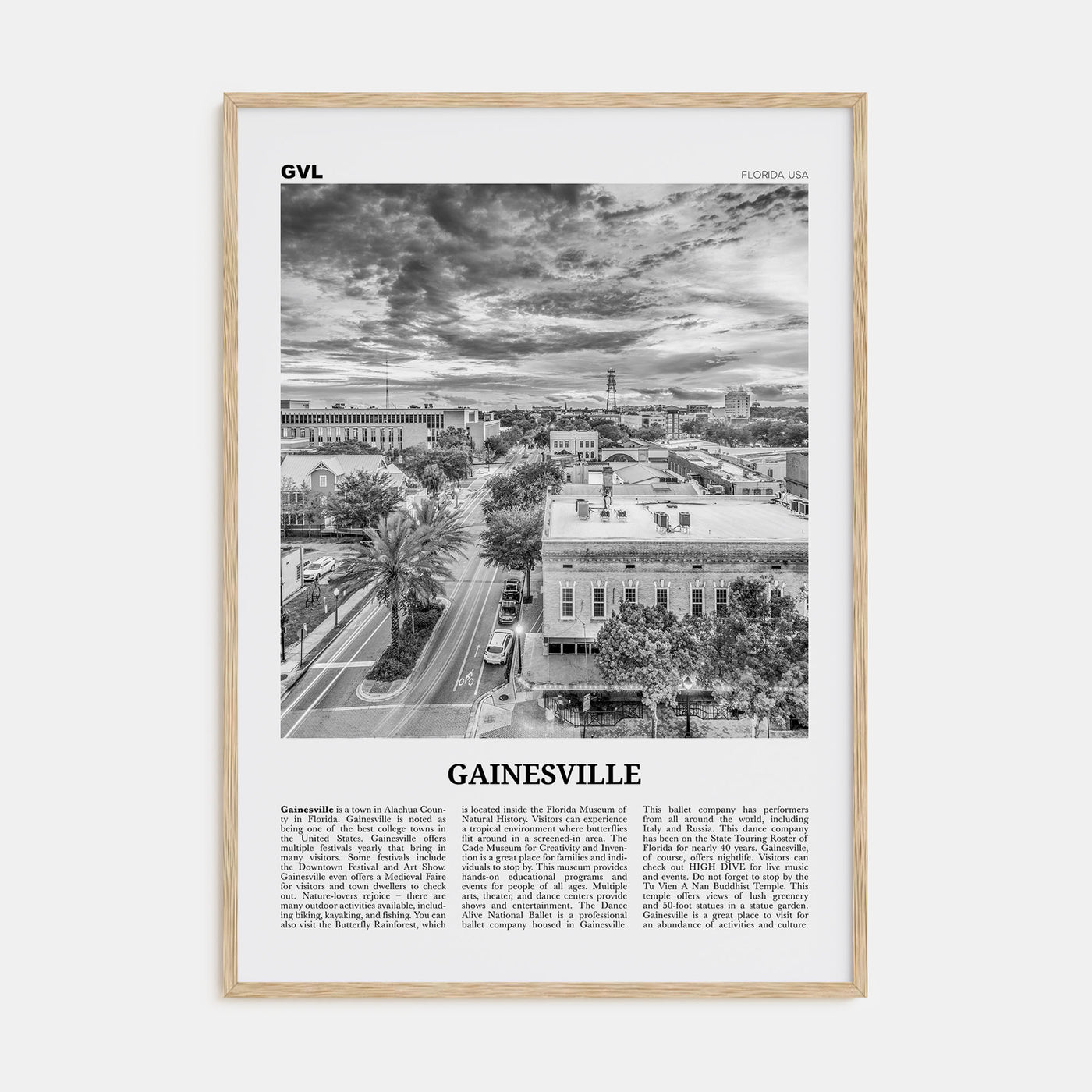 Gainesville Travel B&W Poster