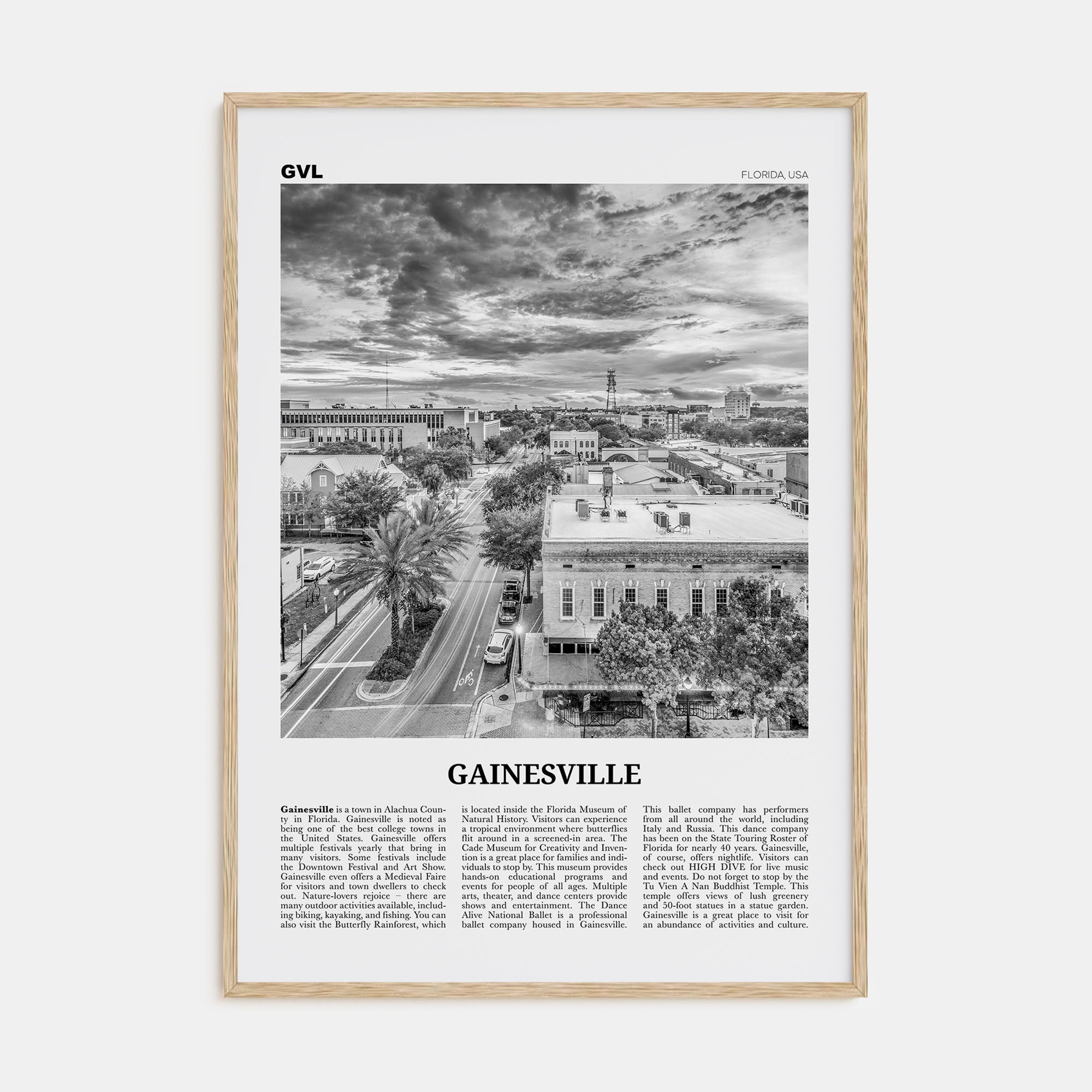 Gainesville Travel B&W Poster