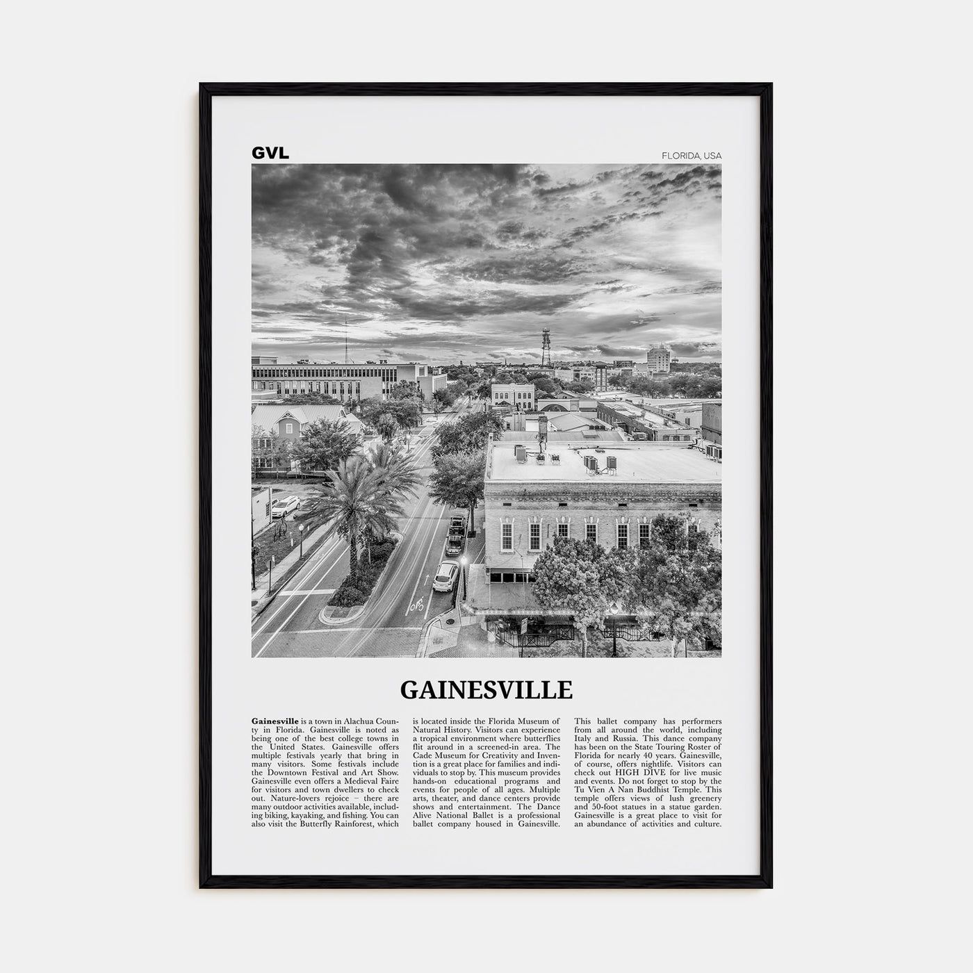 Gainesville Travel B&W Poster