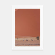 Gazella Photo Color Poster