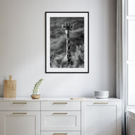 Giraffe Photo B&W No 1 Poster