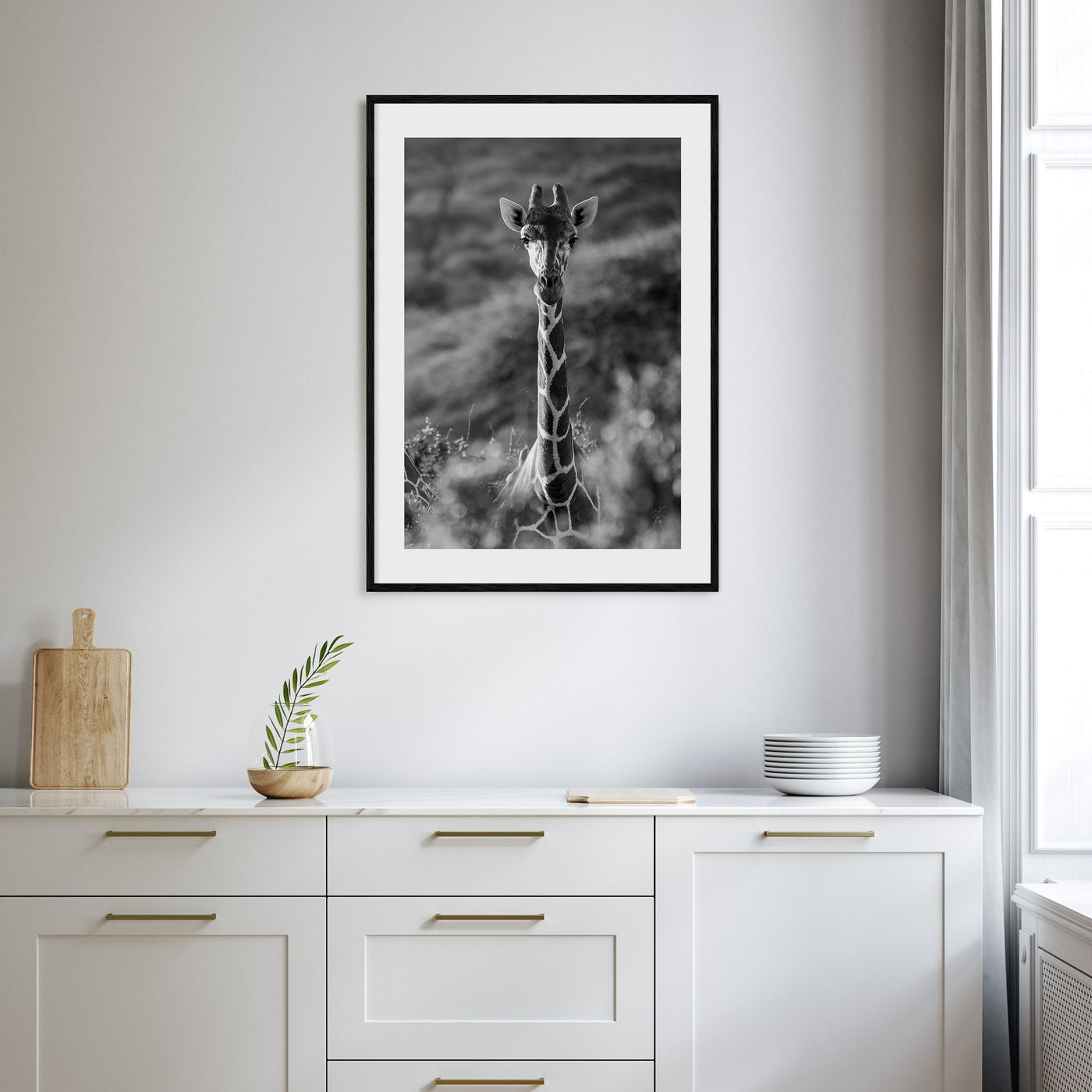 Giraffe Photo B&W No 1 Poster
