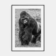 Gorilla Photo B&W Poster