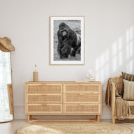 Gorilla Photo B&W Poster