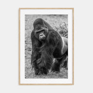 Gorilla Photo B&W Poster