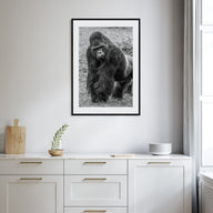 Gorilla Photo B&W Poster