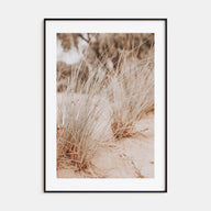 Grass Growing Wild Photo Color Poster