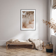Grass Growing Wild Photo Color Poster