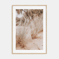 Grass Growing Wild Photo Color Poster