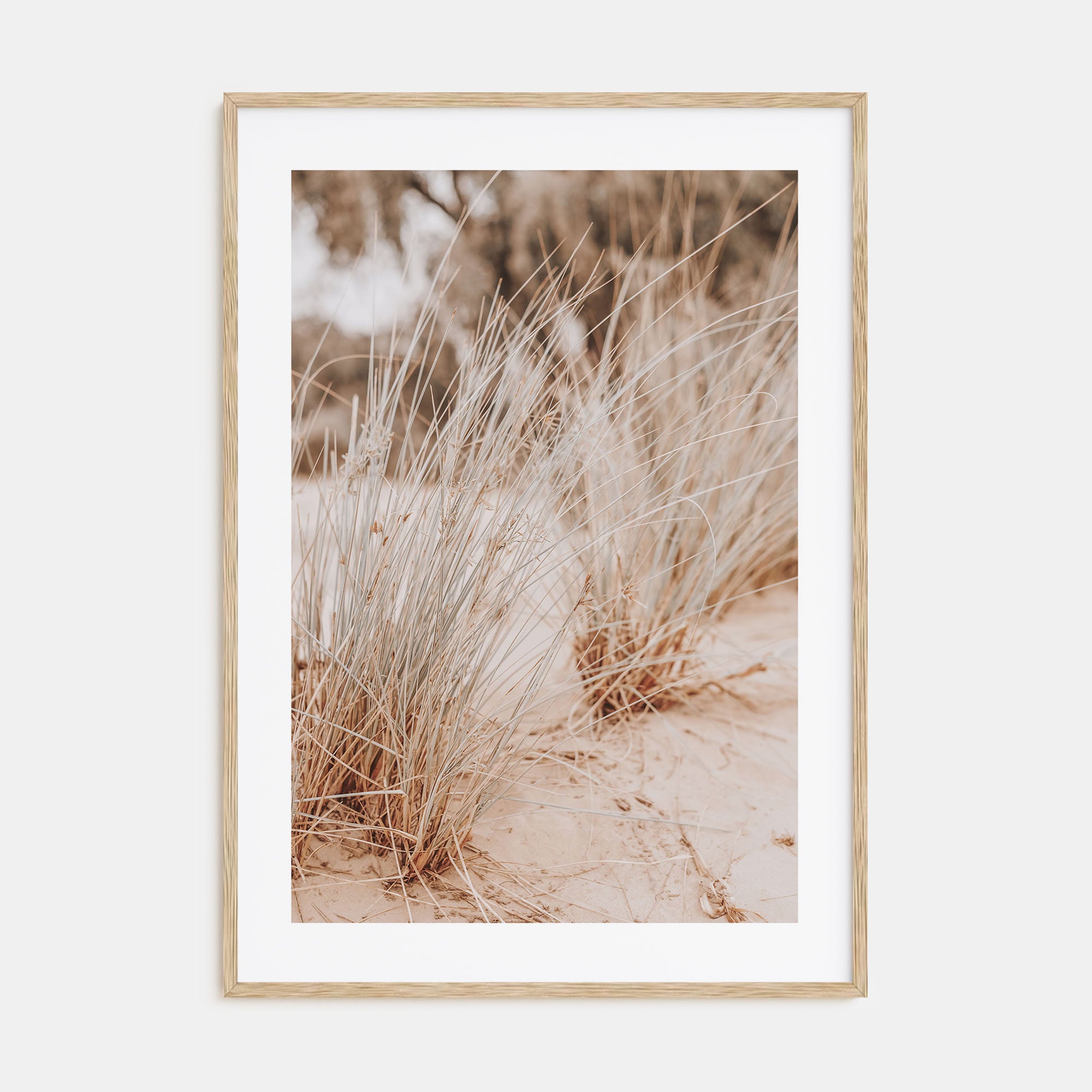 Grass Growing Wild Photo Color Poster