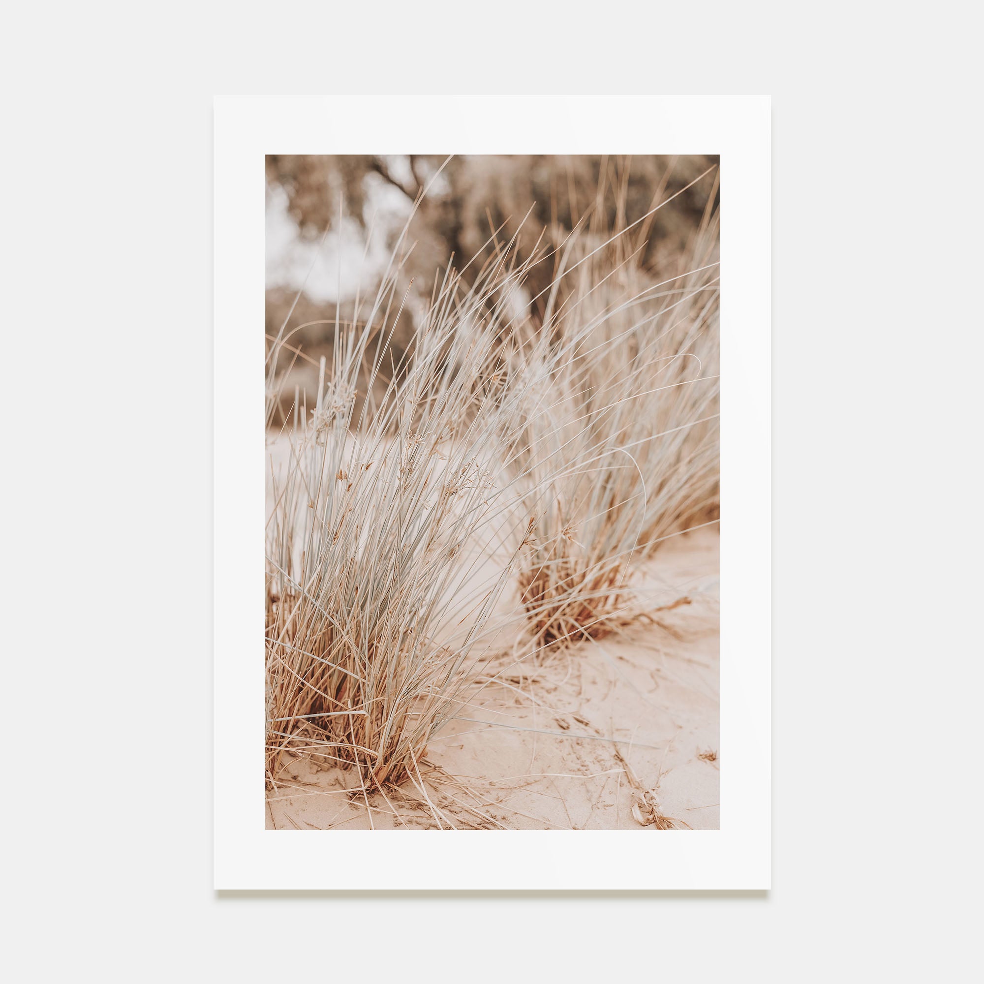 Grass Growing Wild Photo Color Poster