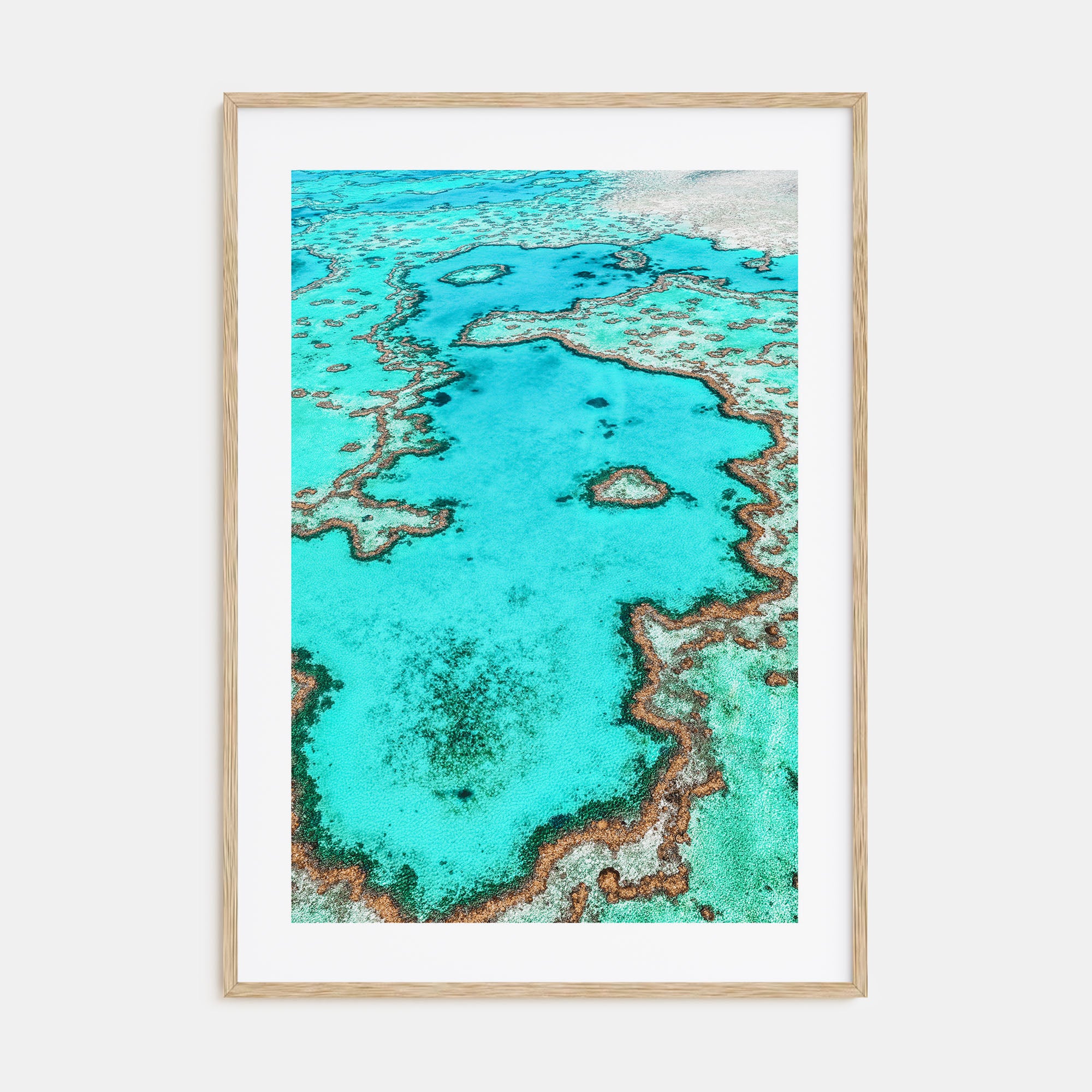 Great Barrier Reef Photo Color Poster