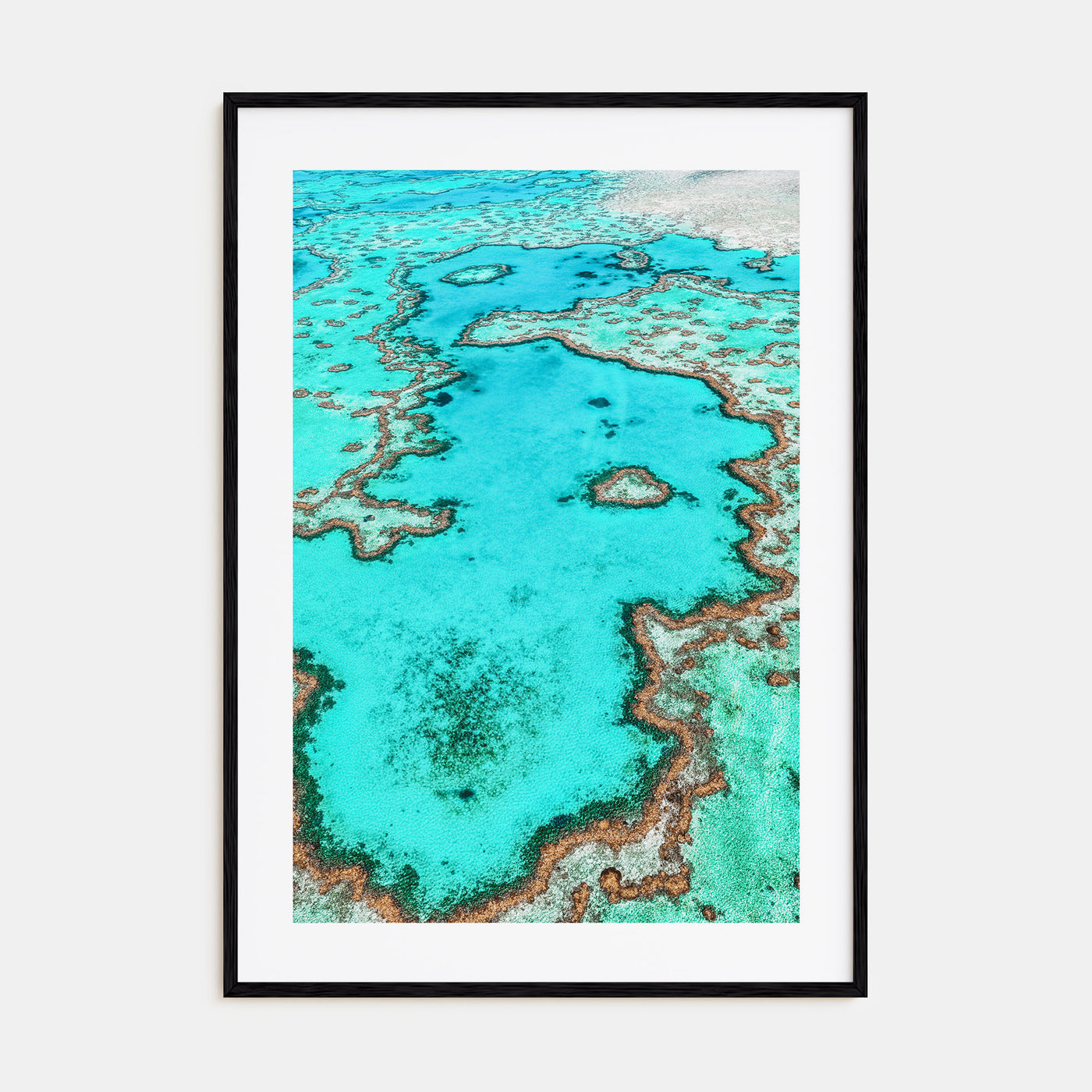 Great Barrier Reef Photo Color Poster