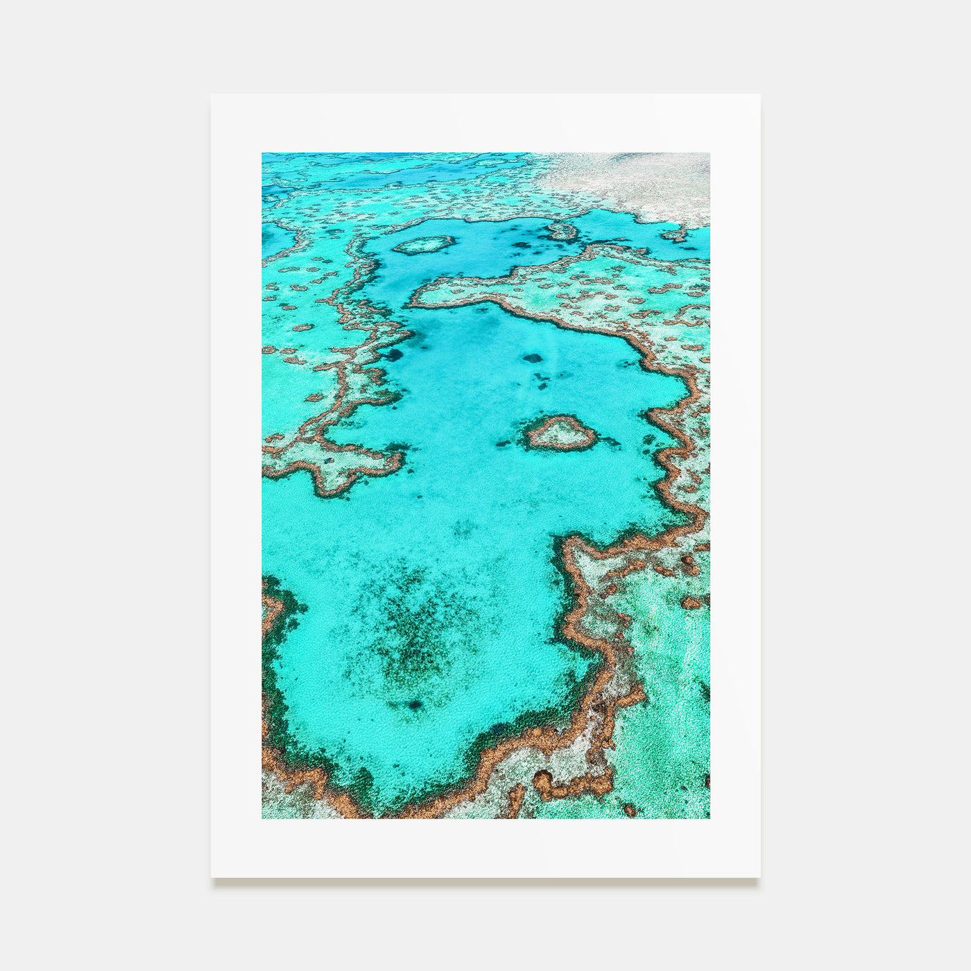 Great Barrier Reef Photo Color Poster