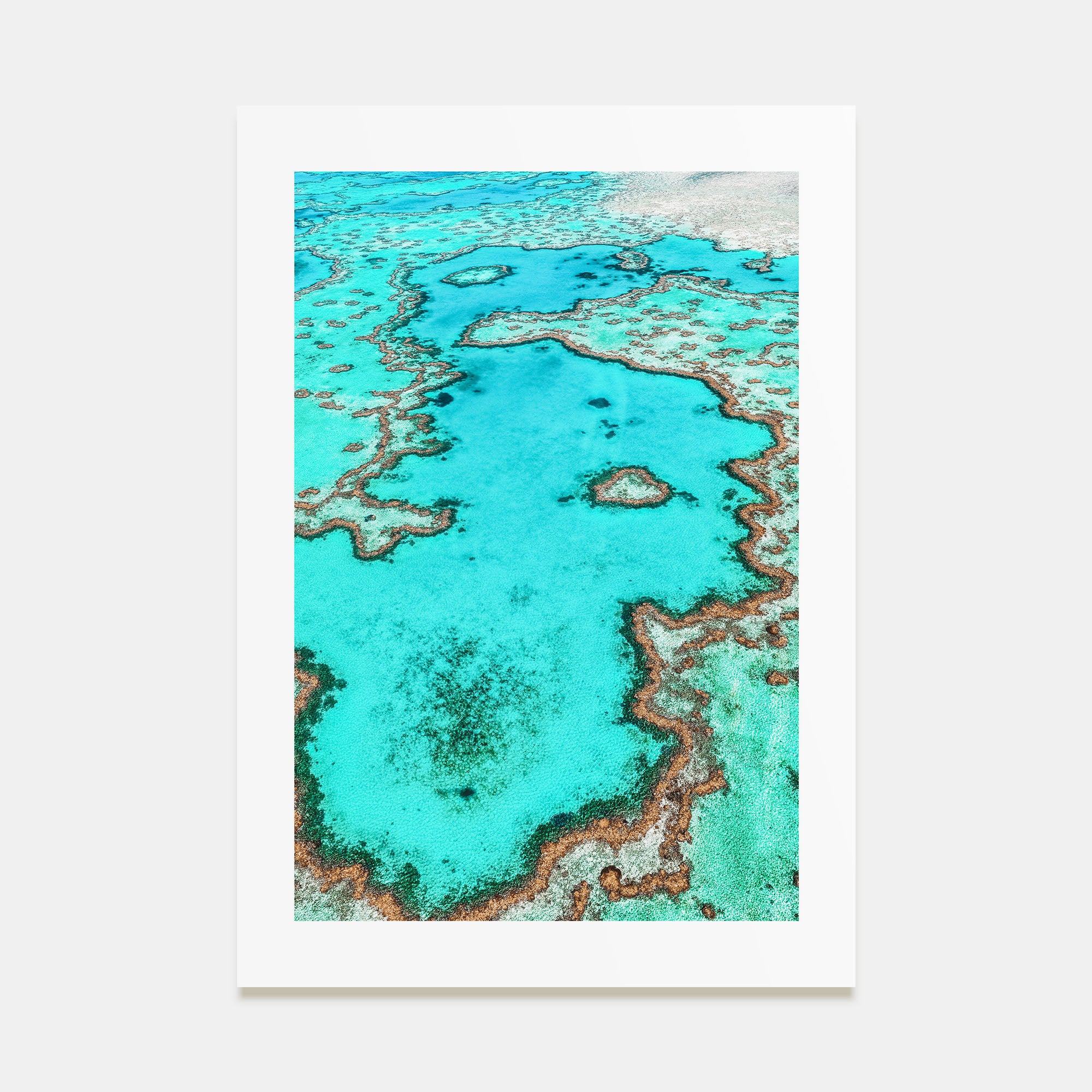 Great Barrier Reef Photo Color Poster