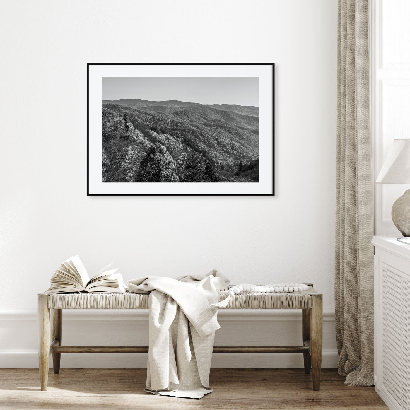 Great Smoky Mountains National Park Landscape B&W No 2 Poster