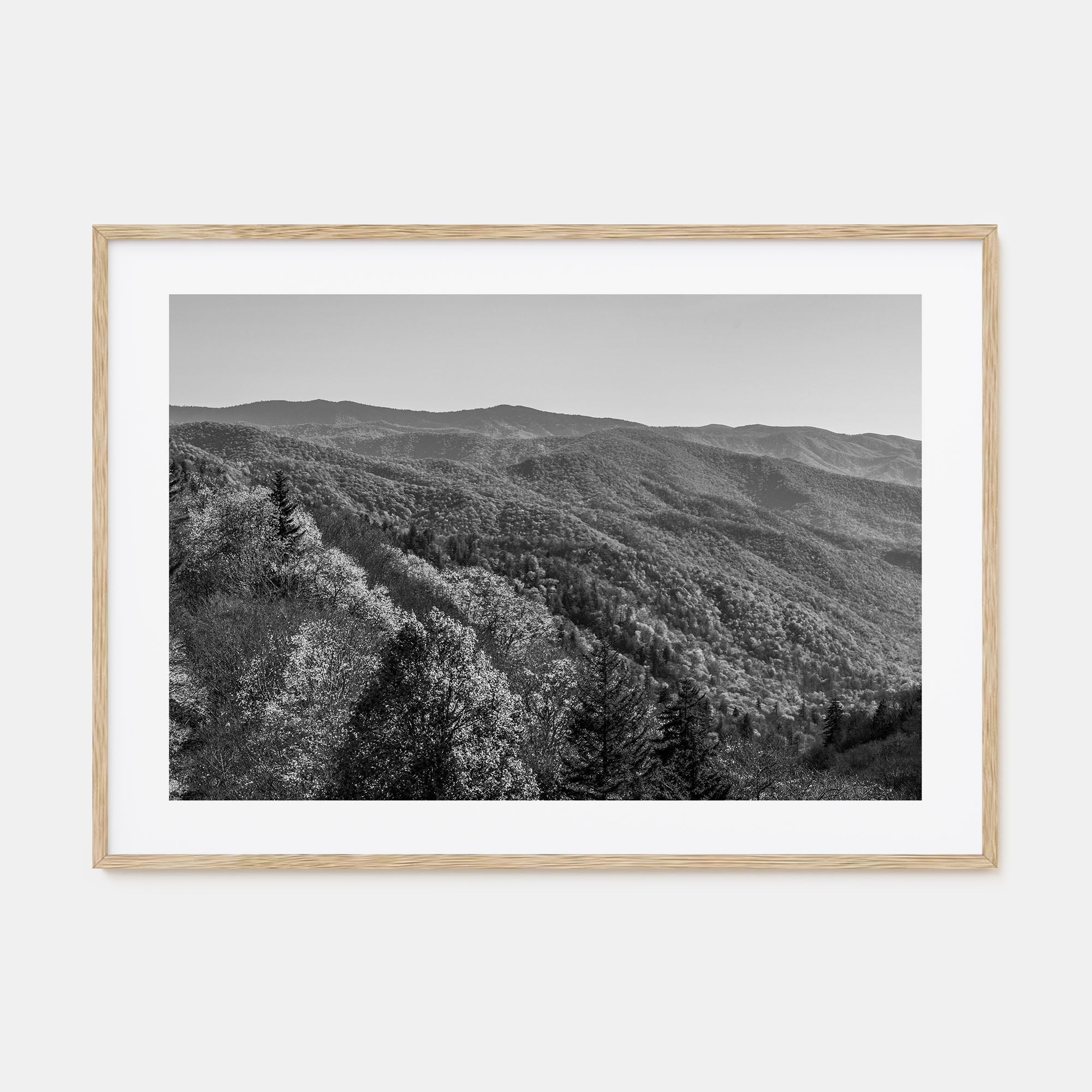Great Smoky Mountains National Park Landscape B&W No 2 Poster