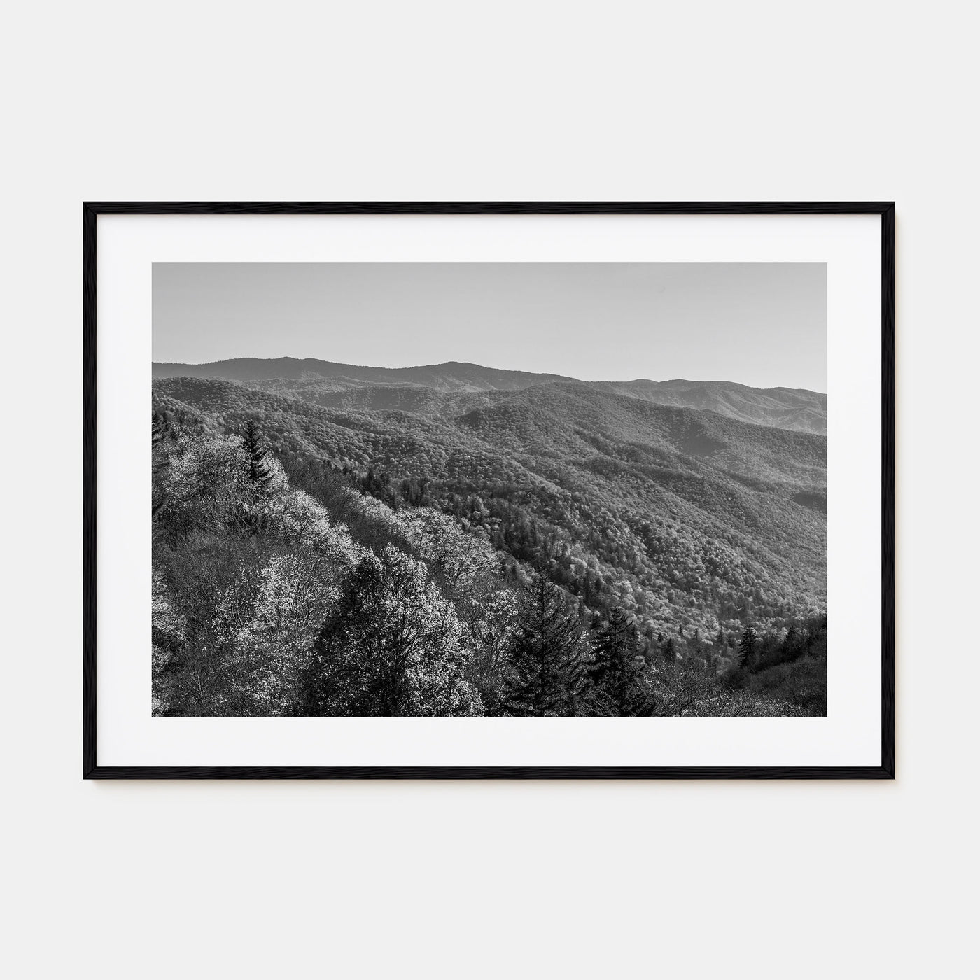 Great Smoky Mountains National Park Landscape B&W No 2 Poster