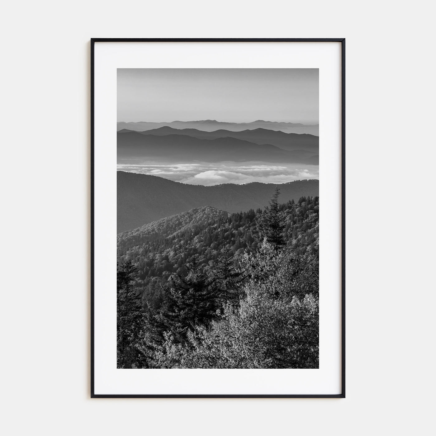 Great Smoky Mountains National Park Photo B&W Poster
