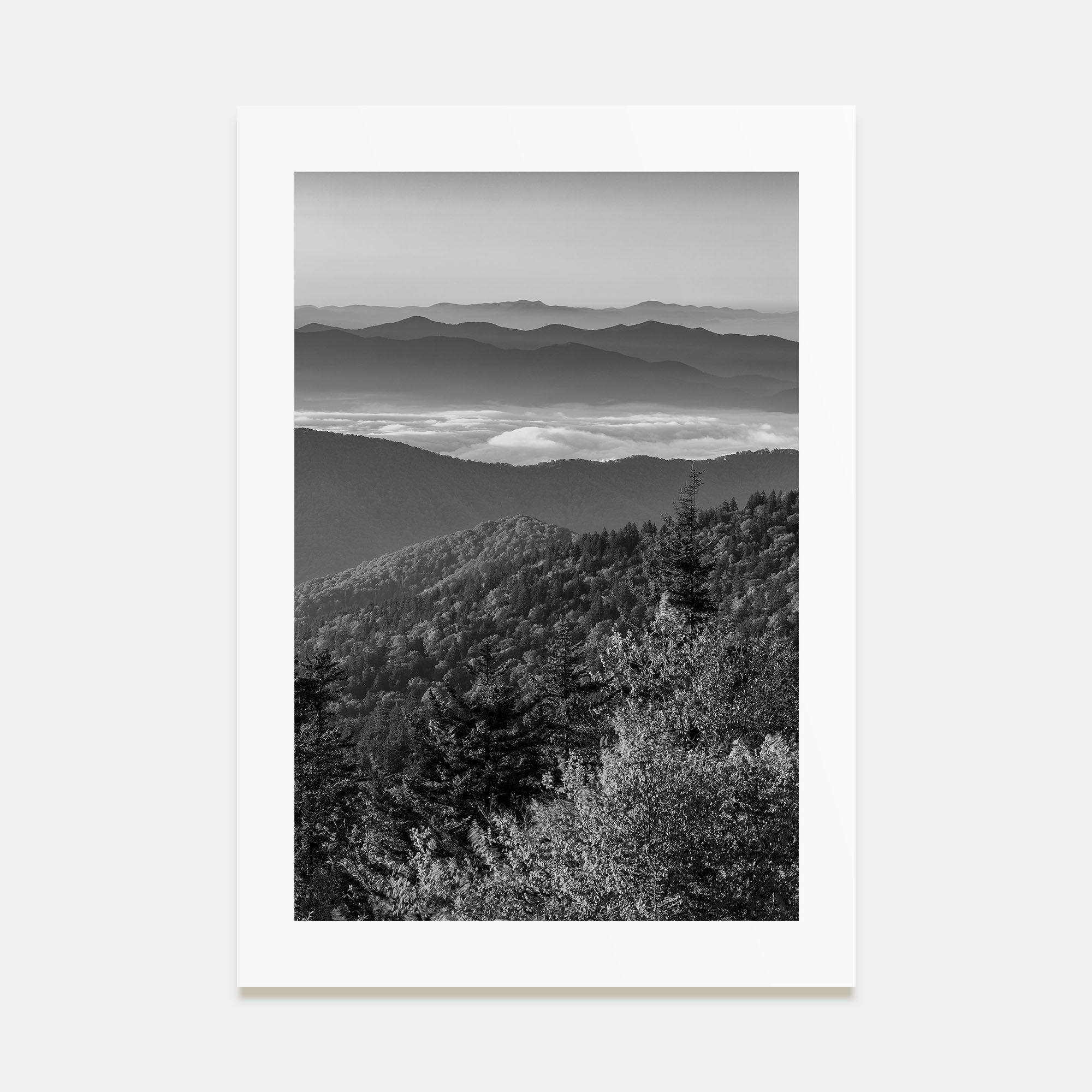 Great Smoky Mountains National Park Photo B&W Poster