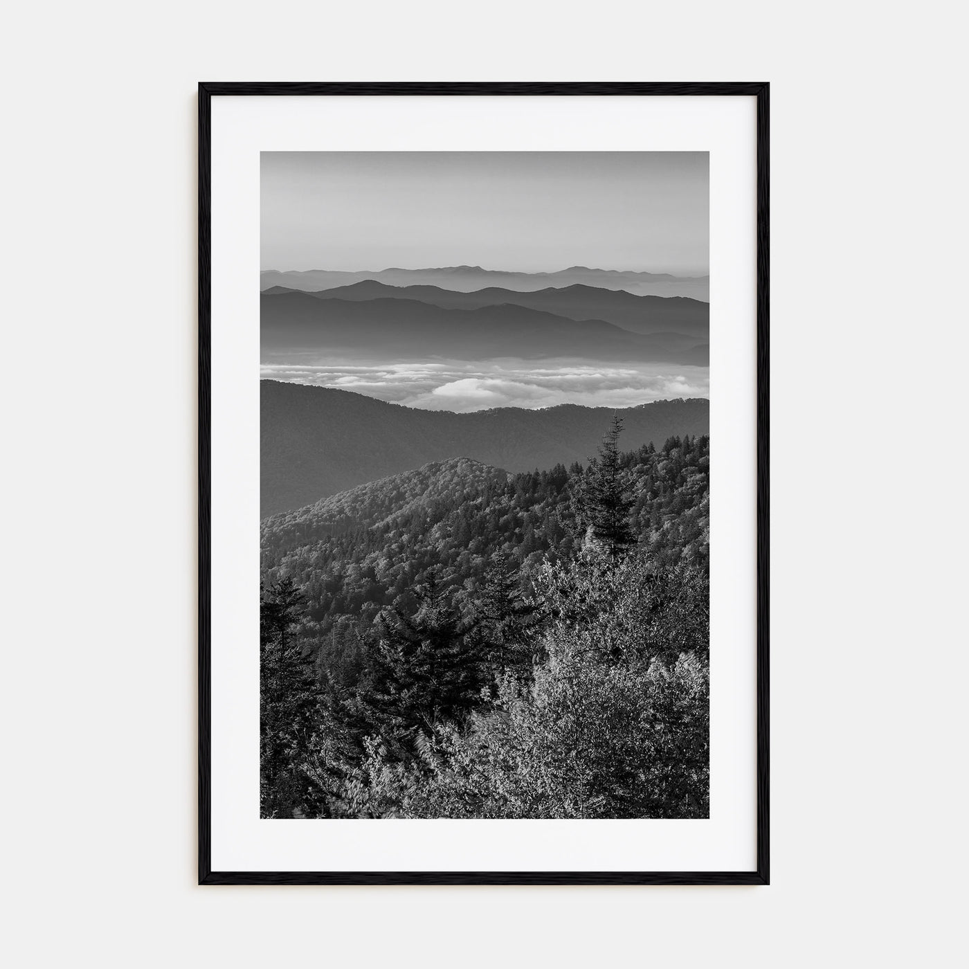 Great Smoky Mountains National Park Photo B&W Poster