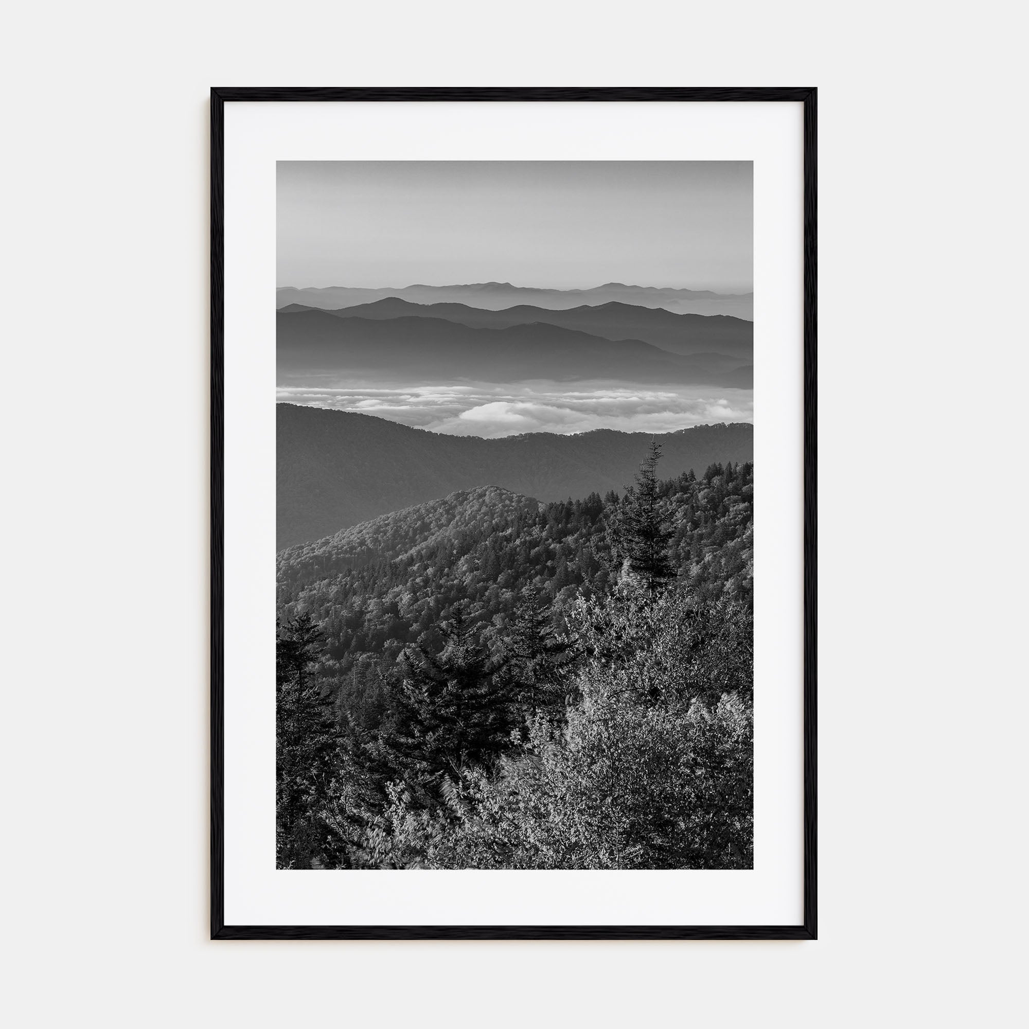 Great Smoky Mountains National Park Photo B&W Poster