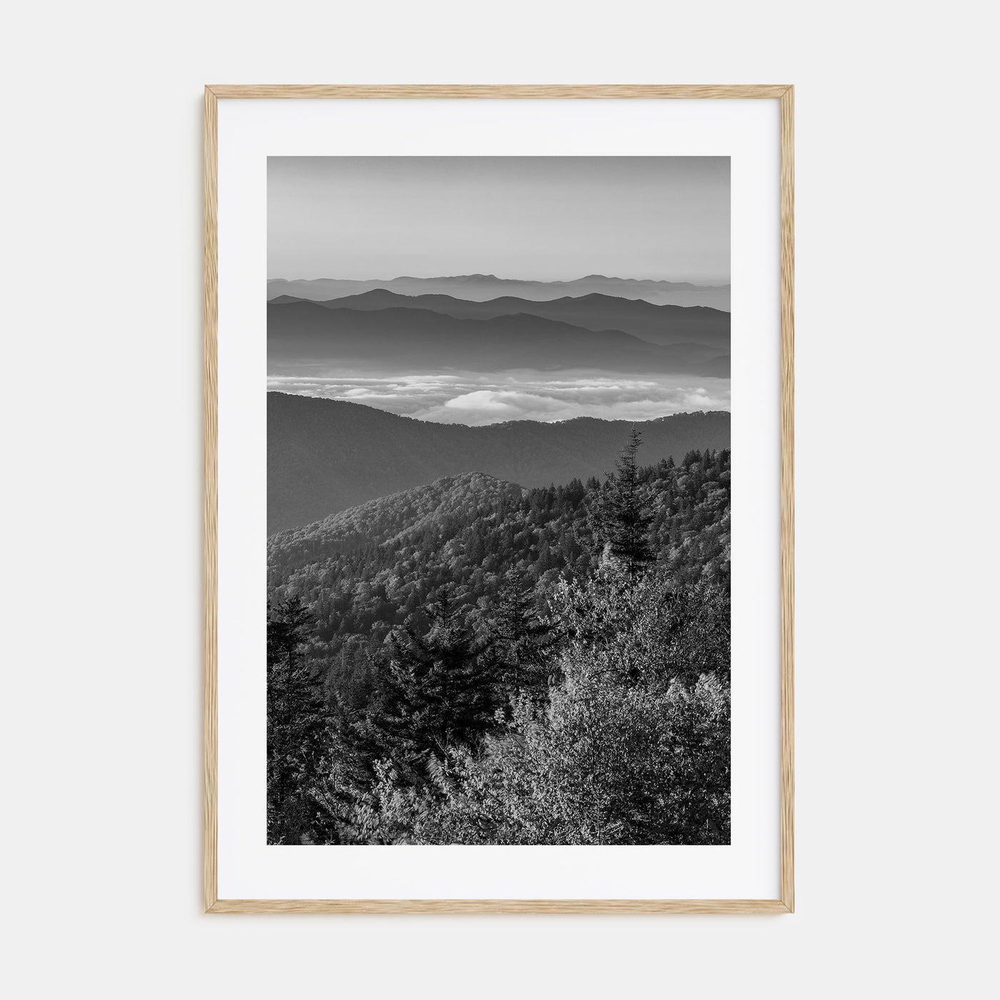 Great Smoky Mountains National Park Photo B&W Poster