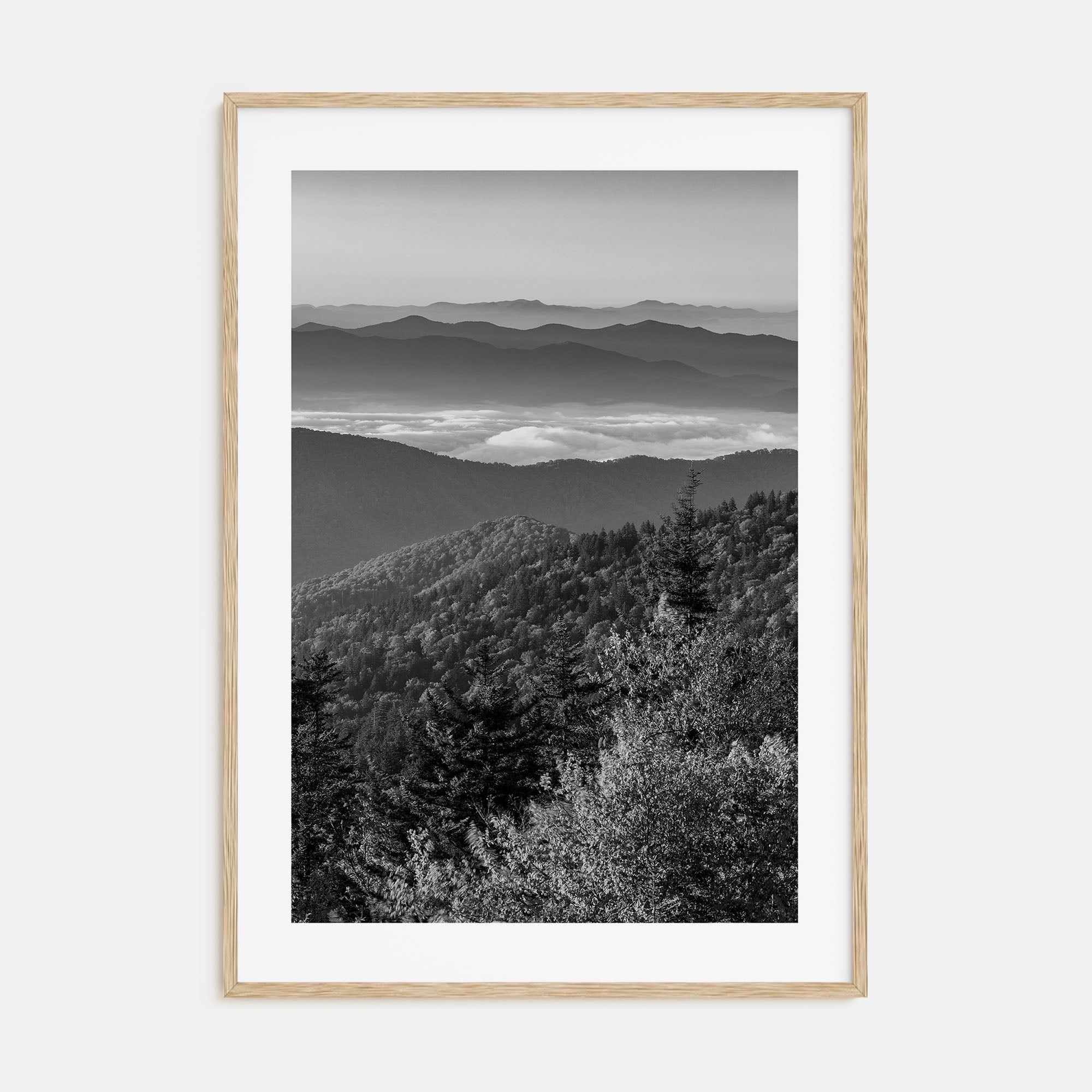 Great Smoky Mountains National Park Photo B&W Poster