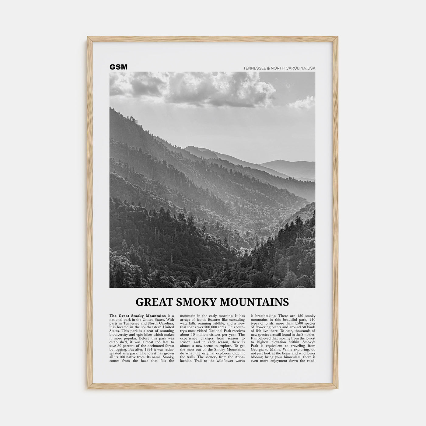 Great Smoky Mountains National Park Travel B&W Poster