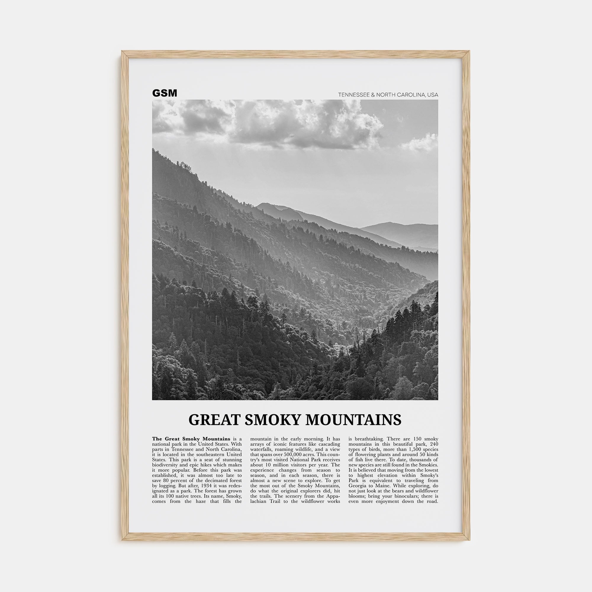 Great Smoky Mountains National Park Travel B&W Poster