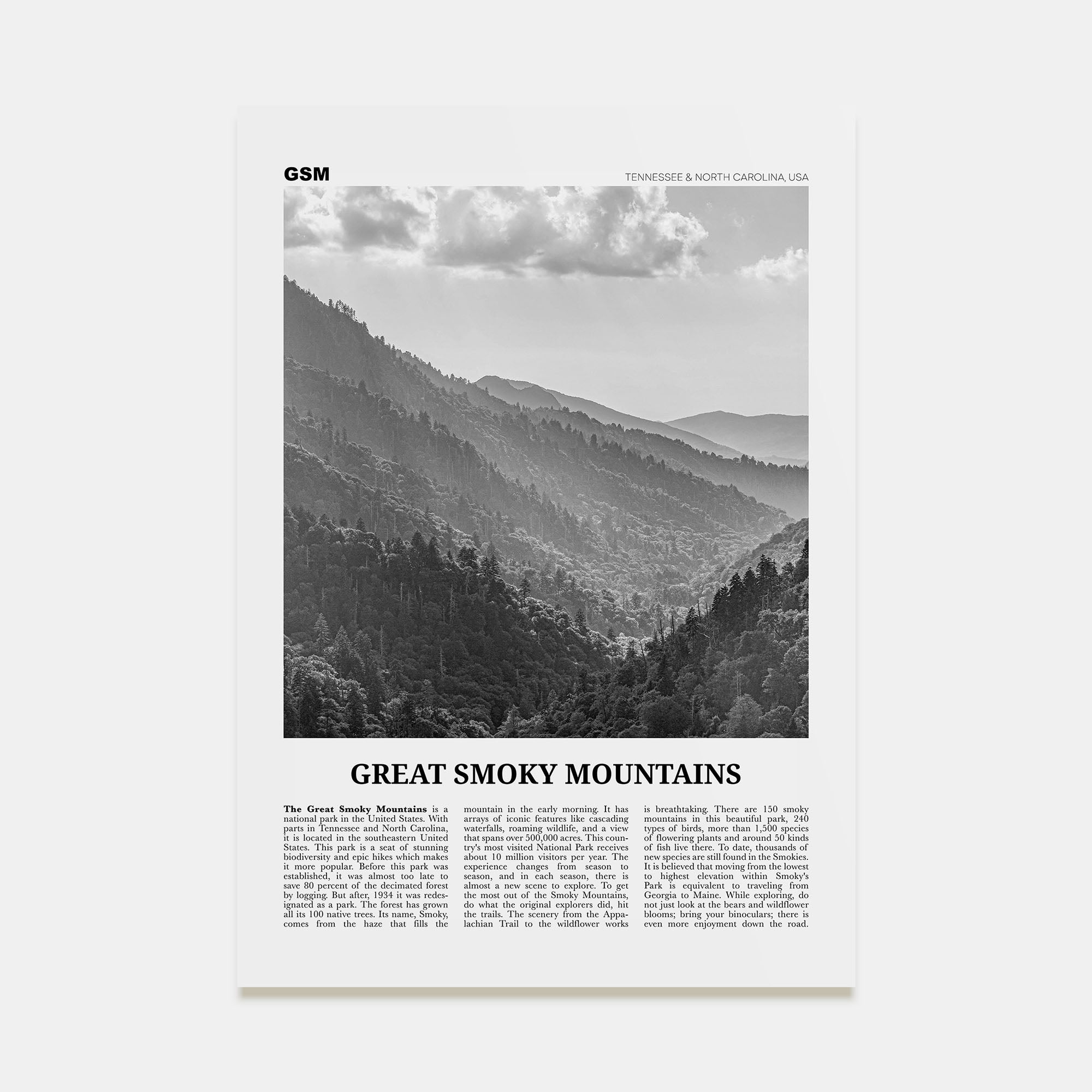 Great Smoky Mountains National Park Travel B&W Poster