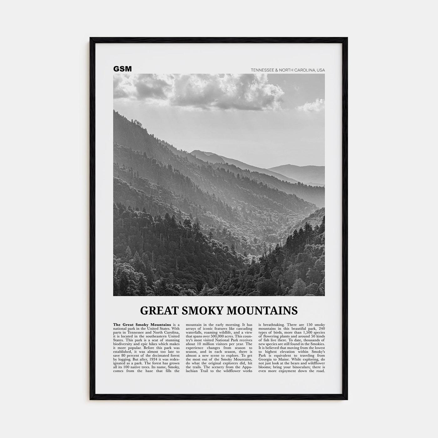 Great Smoky Mountains National Park Travel B&W Poster