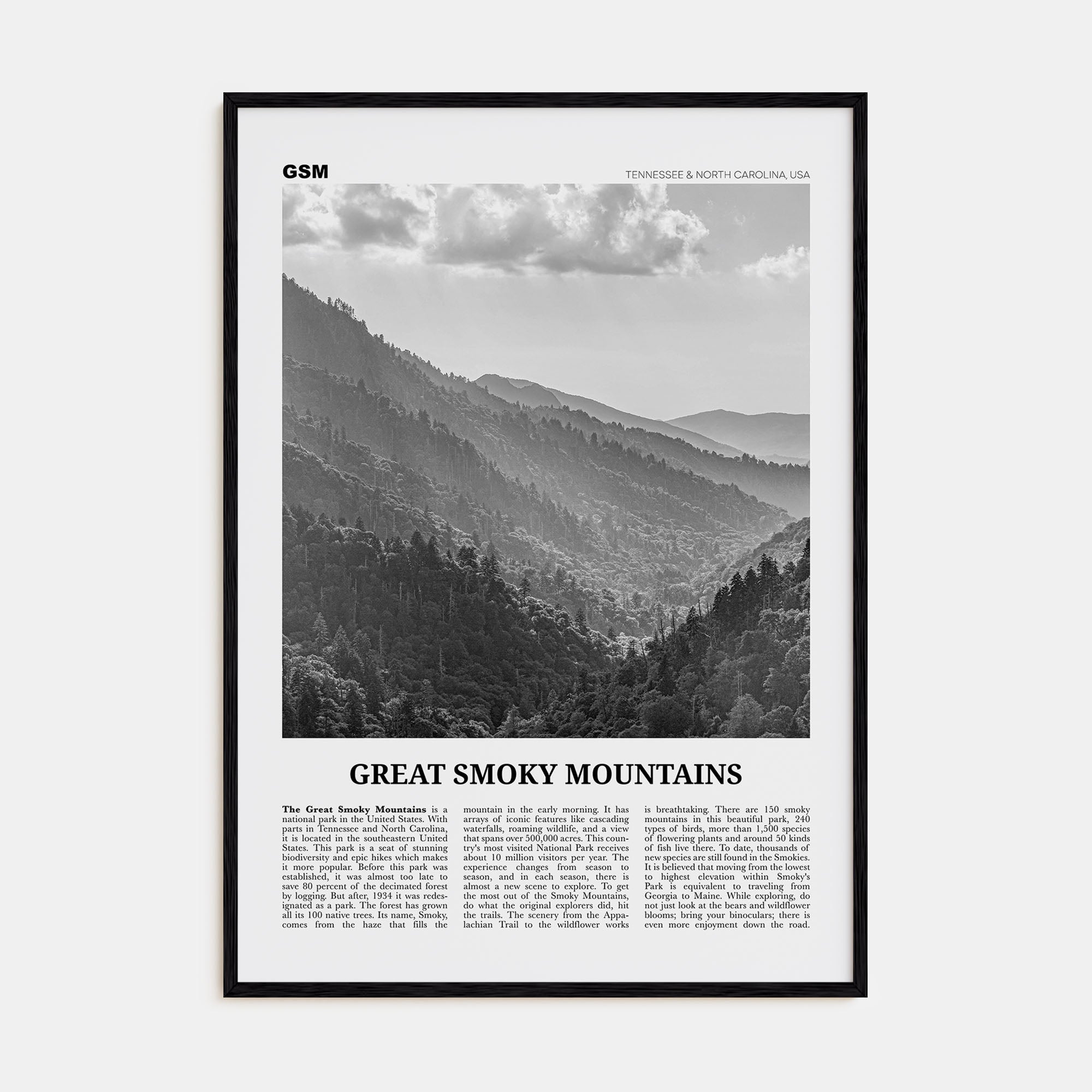 Great Smoky Mountains National Park Travel B&W Poster