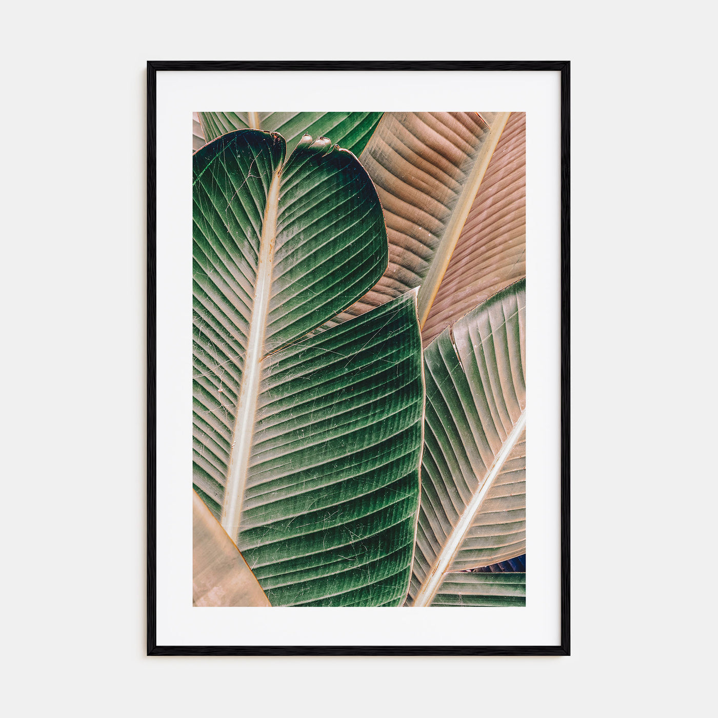 Green Palm Leaf Photo Color Poster