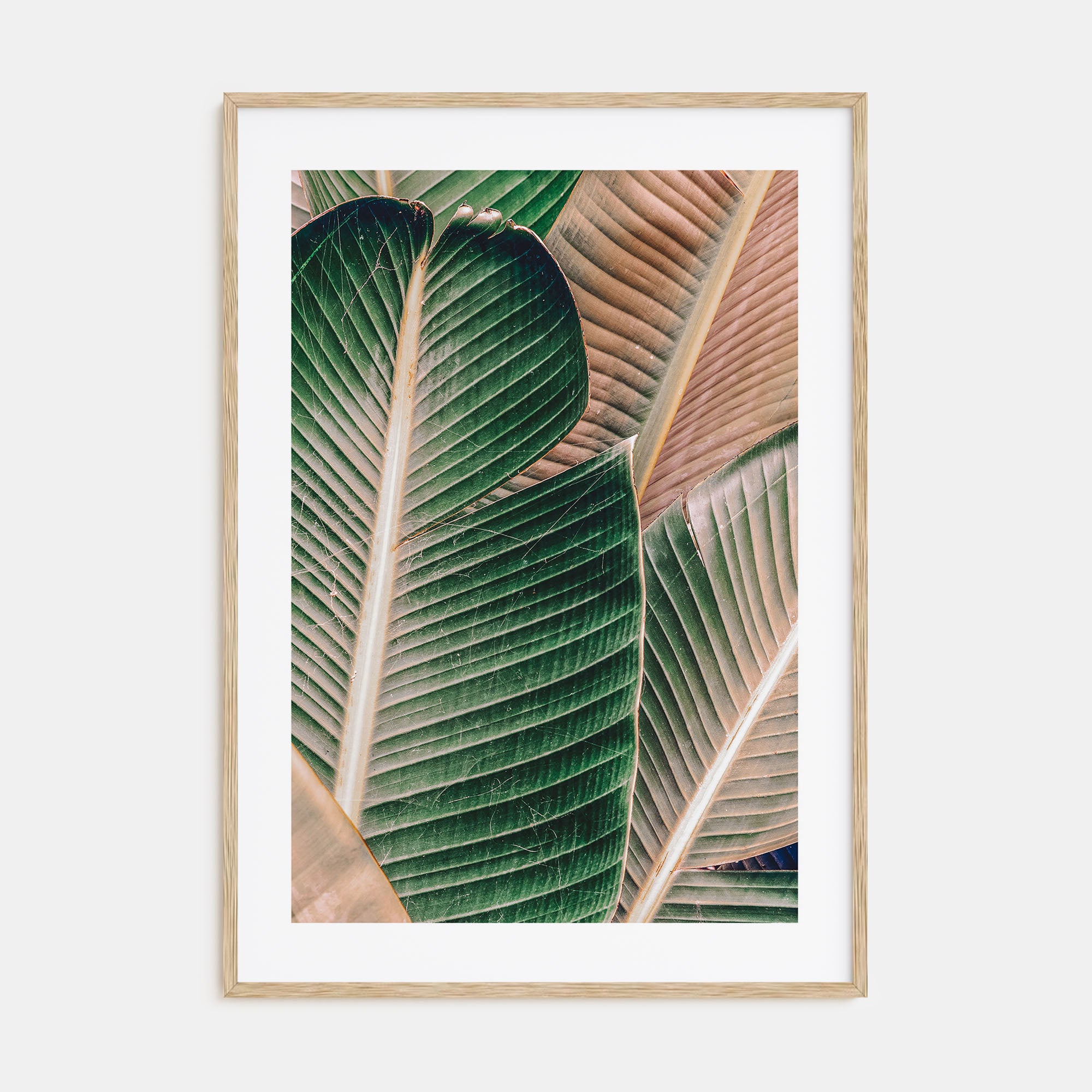 Green Palm Leaf Photo Color Poster