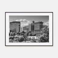 Greenville Landscape B&W Poster