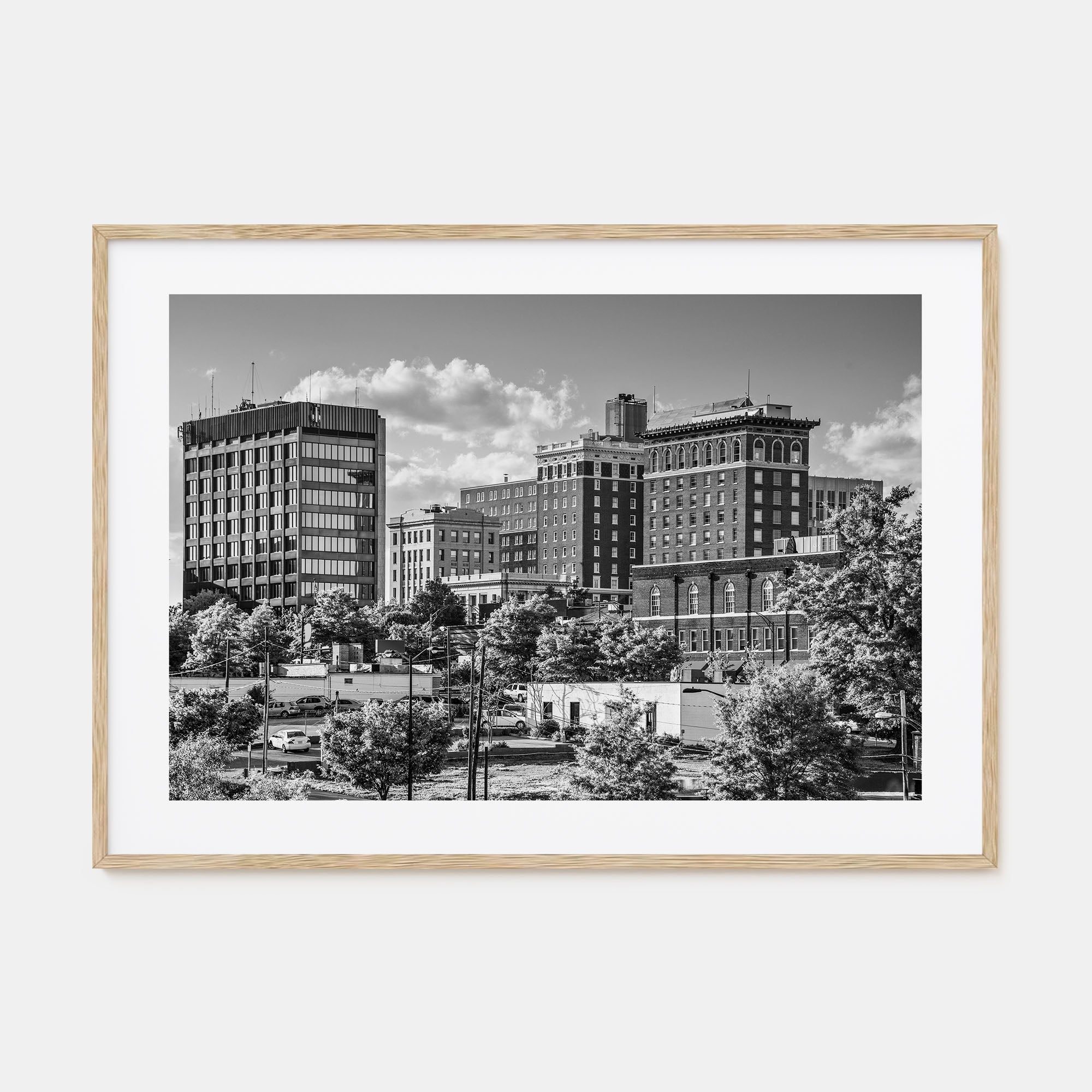 Greenville Landscape B&W Poster