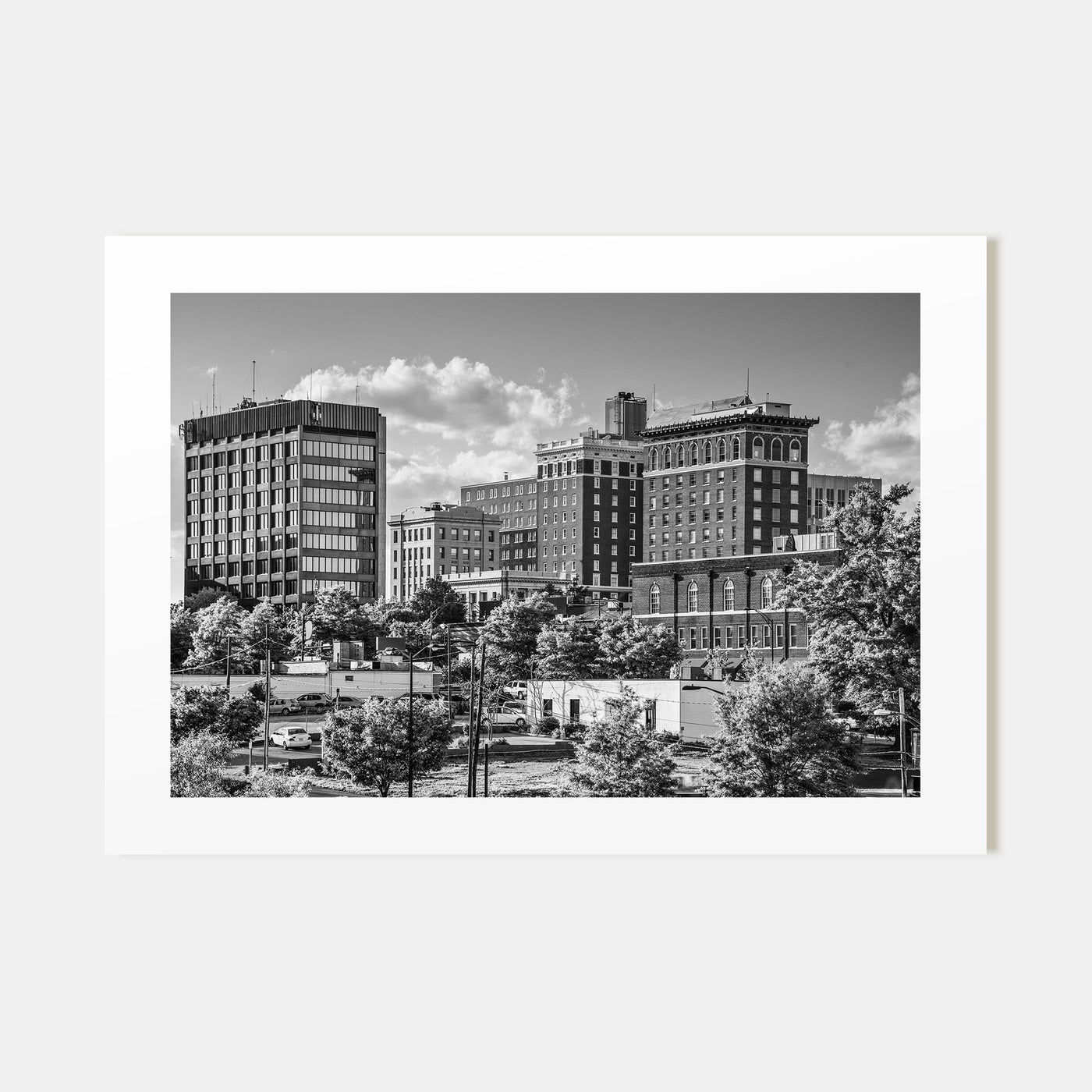 Greenville Landscape B&W Poster