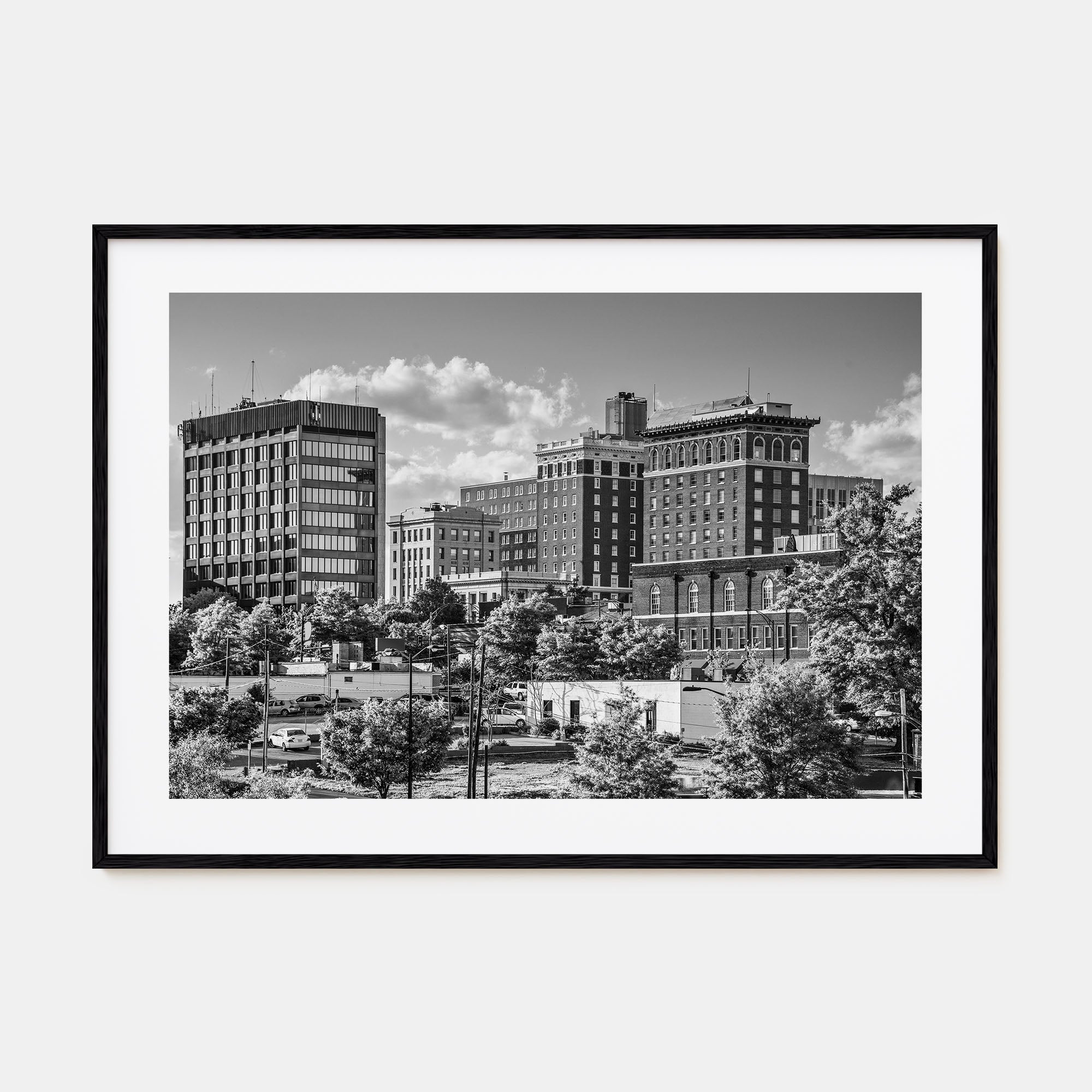 Greenville Landscape B&W Poster
