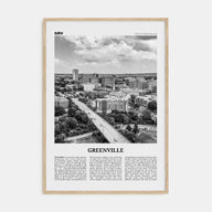 Greenville Travel B&W No 1 Poster