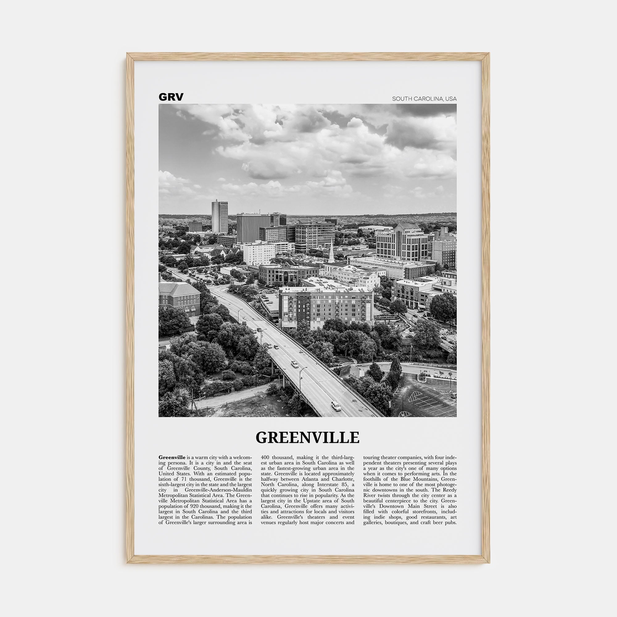 Greenville Travel B&W No 1 Poster