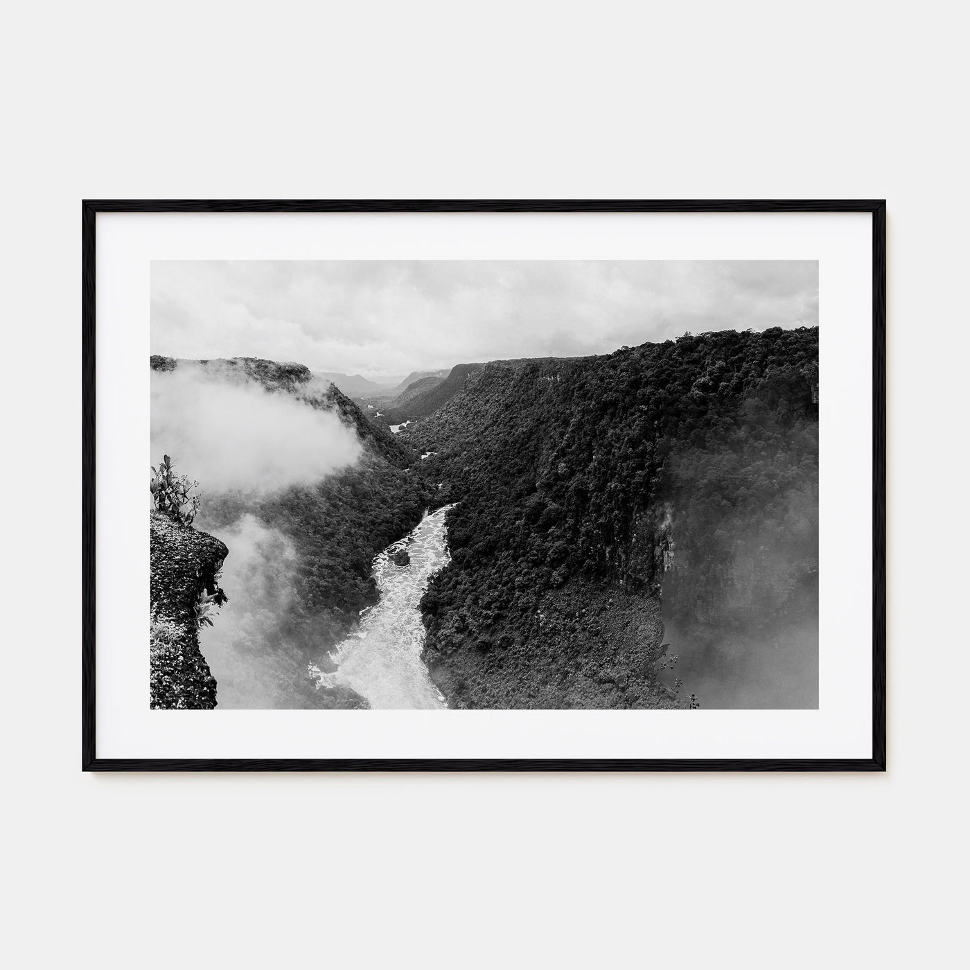 Guyana Landscape B&W Poster