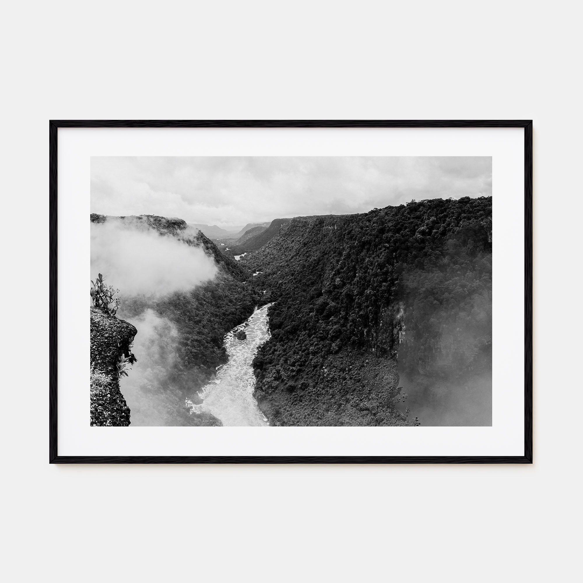Guyana Landscape B&W Poster