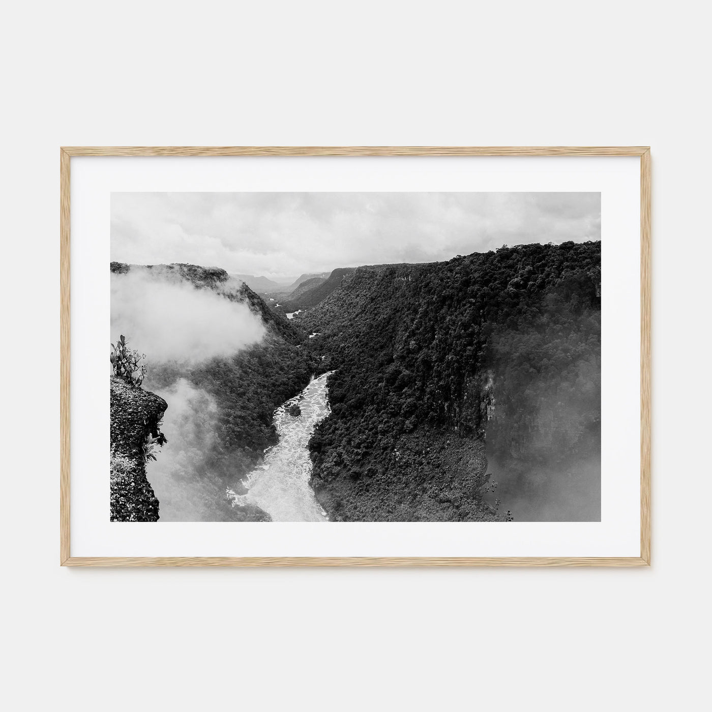 Guyana Landscape B&W Poster