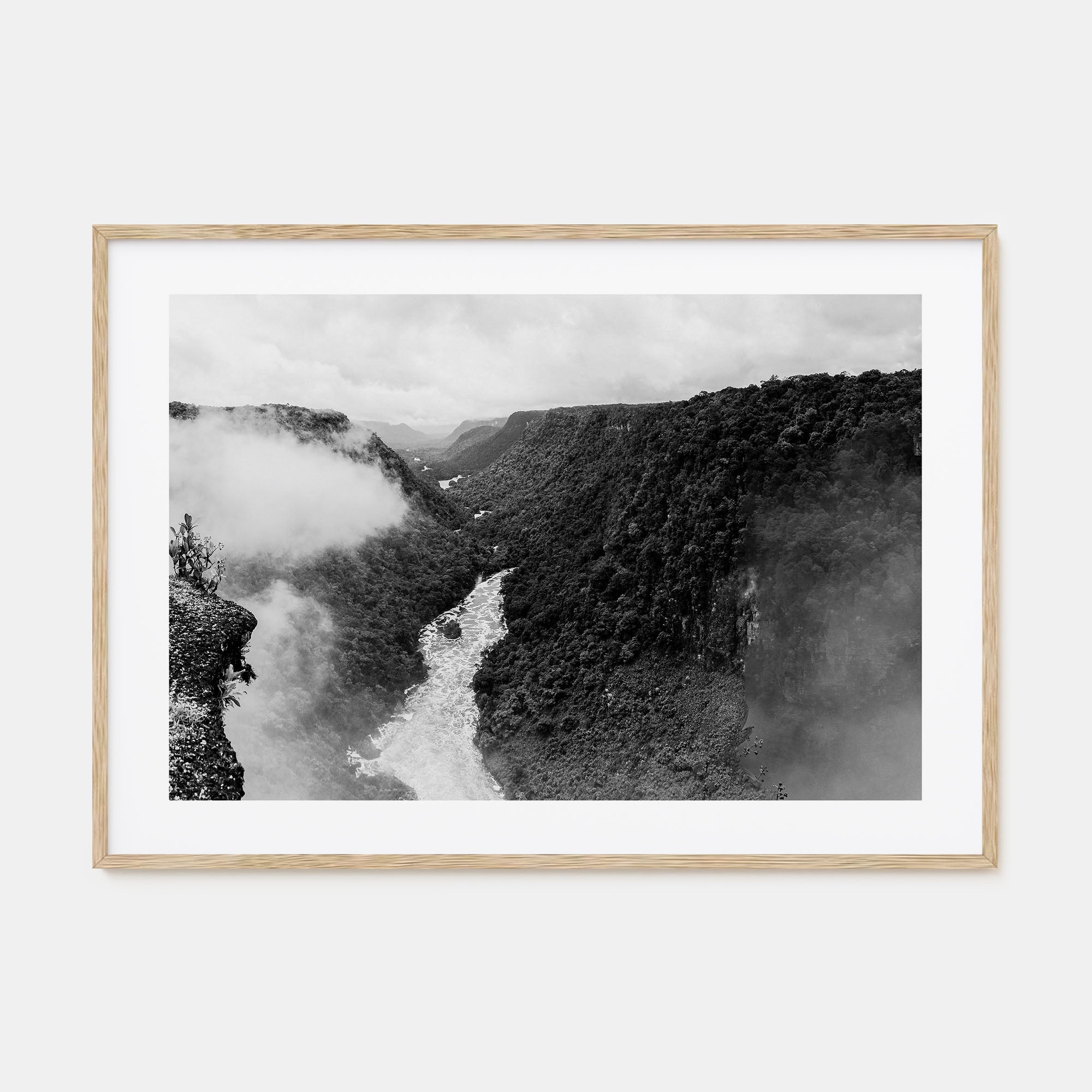 Guyana Landscape B&W Poster