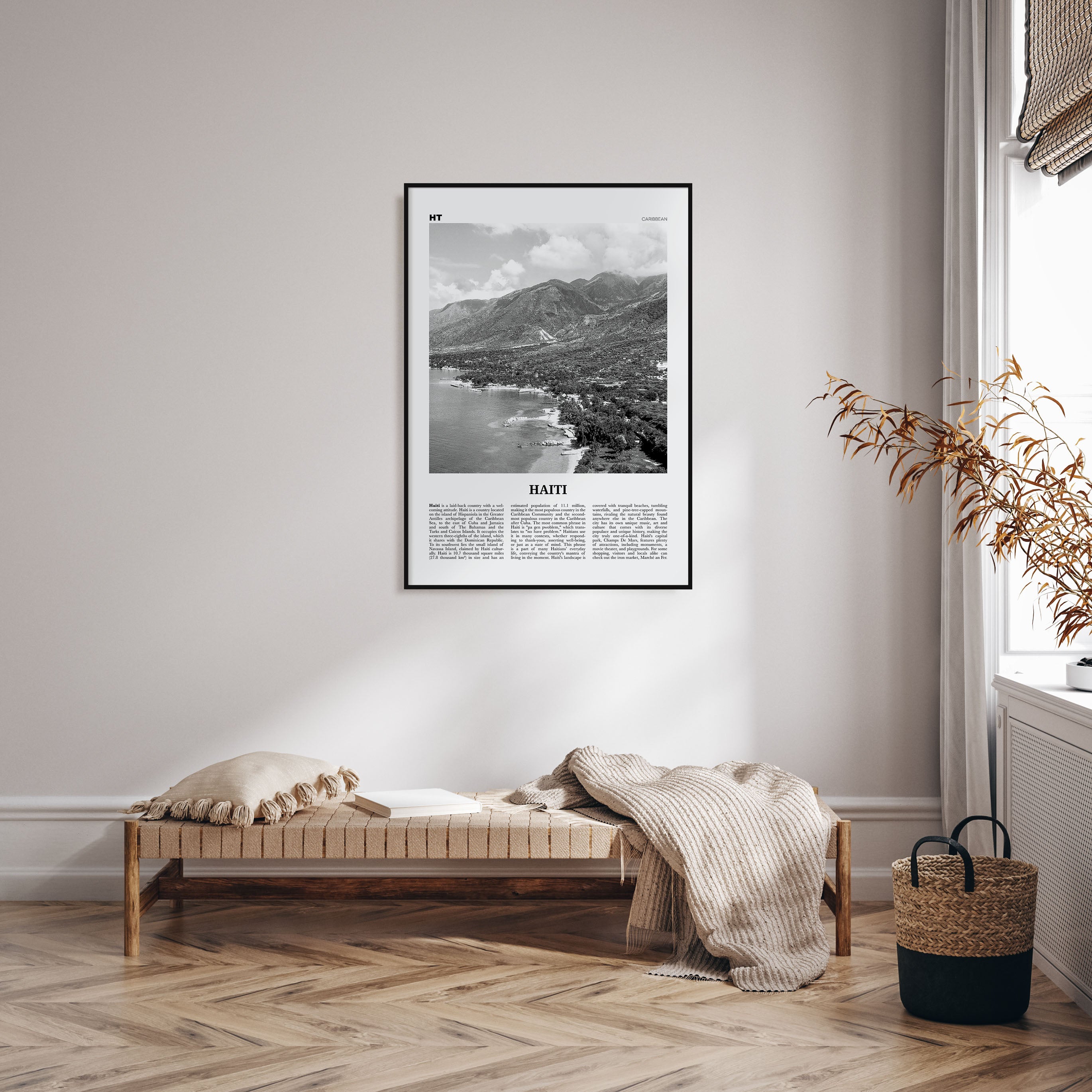 Haiti Travel B&W No 1 Poster